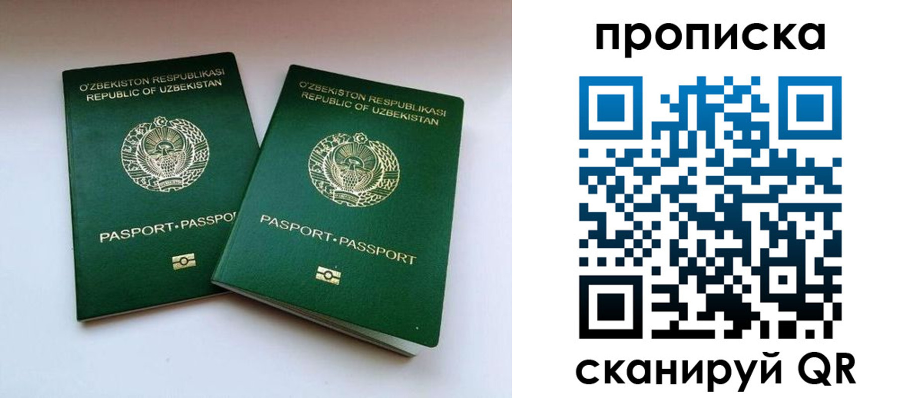 прописка поиск в Дорогобуже